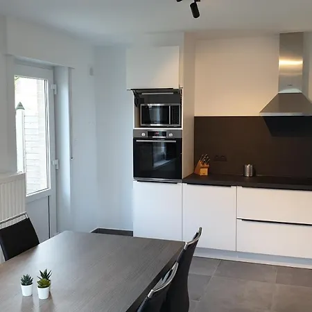 Pinson De Panne